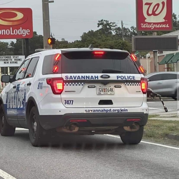 Meet your Posher, Patrick - Picture 5 of 9